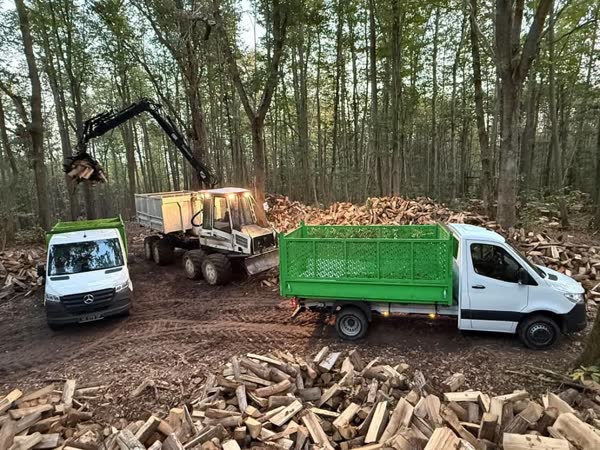 Premium Oak Firewood